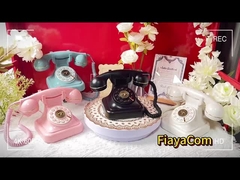 Weddings Celebrations Phone Guest Book Clear Sound Vintage Phone Voice Recorder Button Design