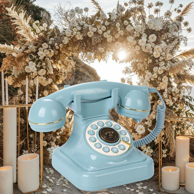 Personalized Telephone Wedding Guest Book Recording Baby Shower Voice Video Memories 10 Hours