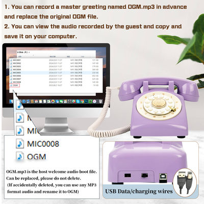 32GB Phone Guest Book Capture Voice Messages and Memories from Guests at Weddings, Parties, and Special Events
