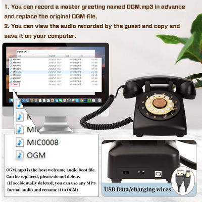 Celebration Audio Guest Book 32GB  Wedding Voicemail Guest Book Unforgettable Moment